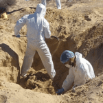 Nuevo proyecto 2021 11 16T172011.509 1