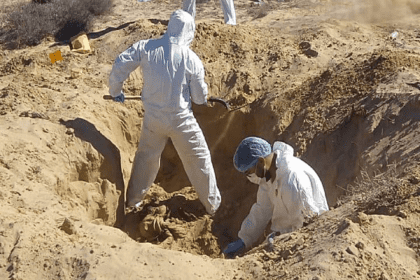 Nuevo proyecto 2021 11 16T172011.509 1