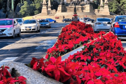 Nuevo proyecto 2021 11 19T171254.094 1