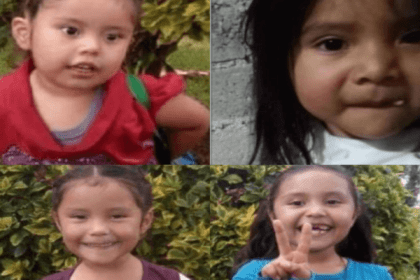 Nuevo proyecto 2021 11 22T095058.986 1