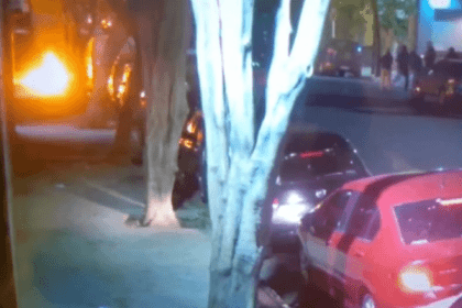 Nuevo proyecto 2021 11 23T142544.298 1