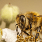 Nuevo proyecto 2021 11 23T162418.118