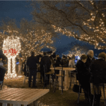 Nuevo proyecto 2021 11 24T154520.513 1