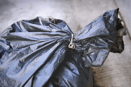 Nuevo proyecto 2021 11 24T174326.202 1