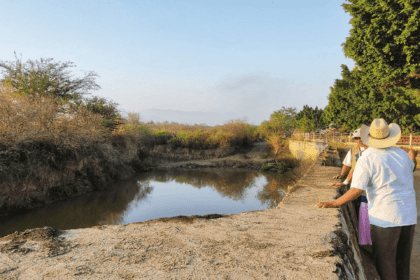 Nuevo proyecto 2021 11 25T160406.387 1