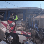 Nuevo proyecto 2021 11 26T155302.475 1