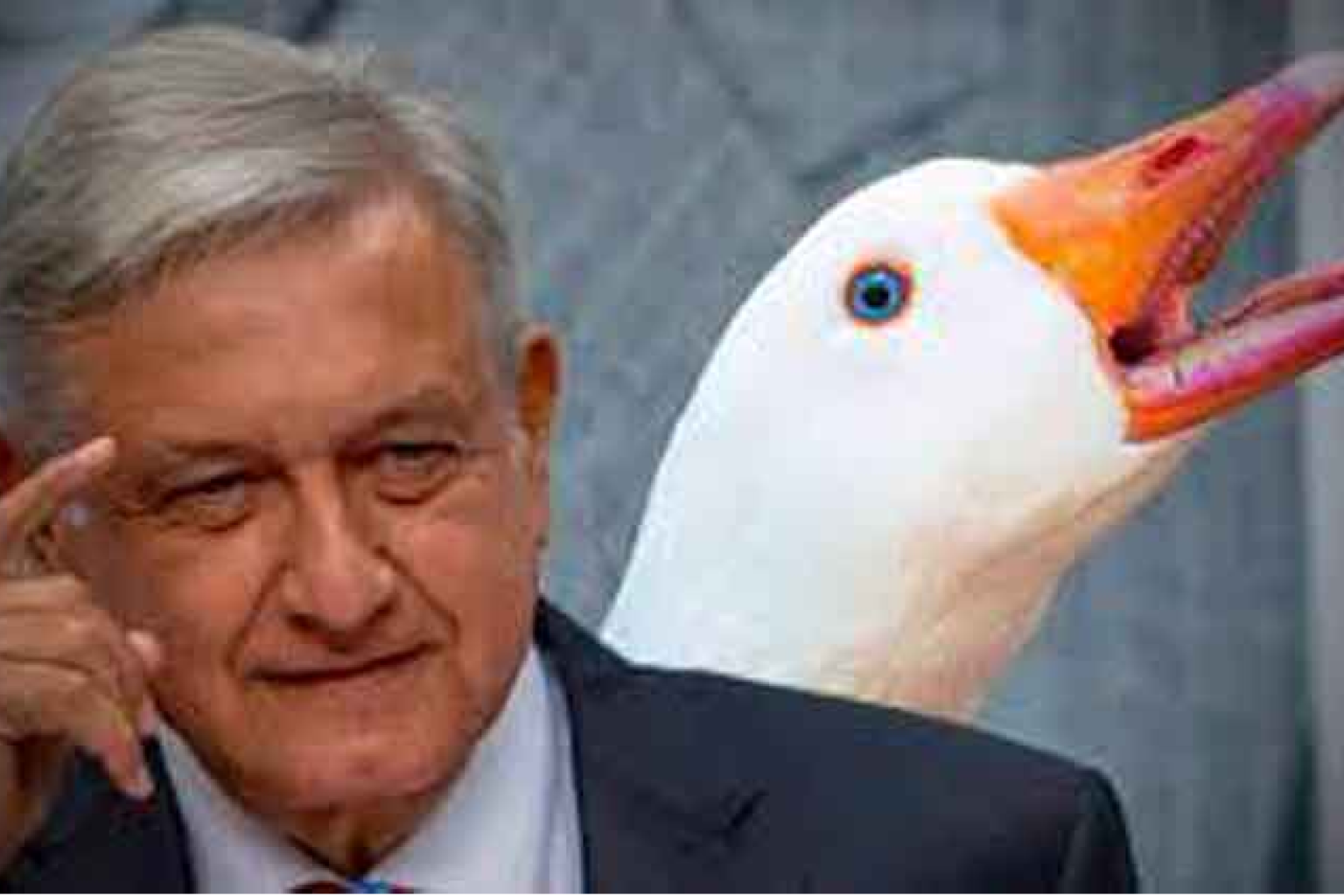 Nuevo proyecto 2021 11 29T151902.013 1