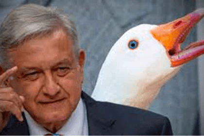 Nuevo proyecto 2021 11 29T151902.013 1