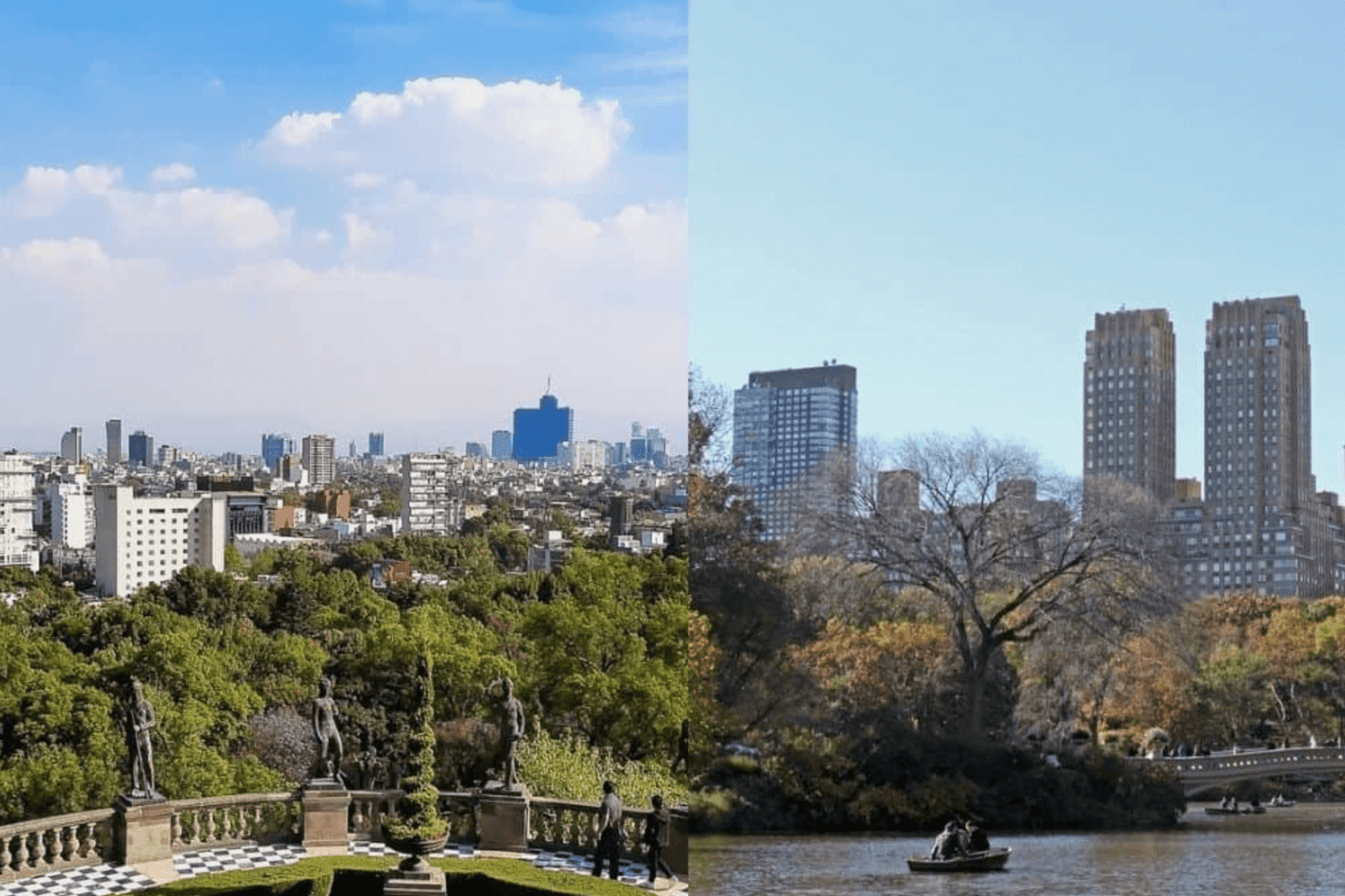 Nuevo proyecto 2021 11 30T110929.542 1