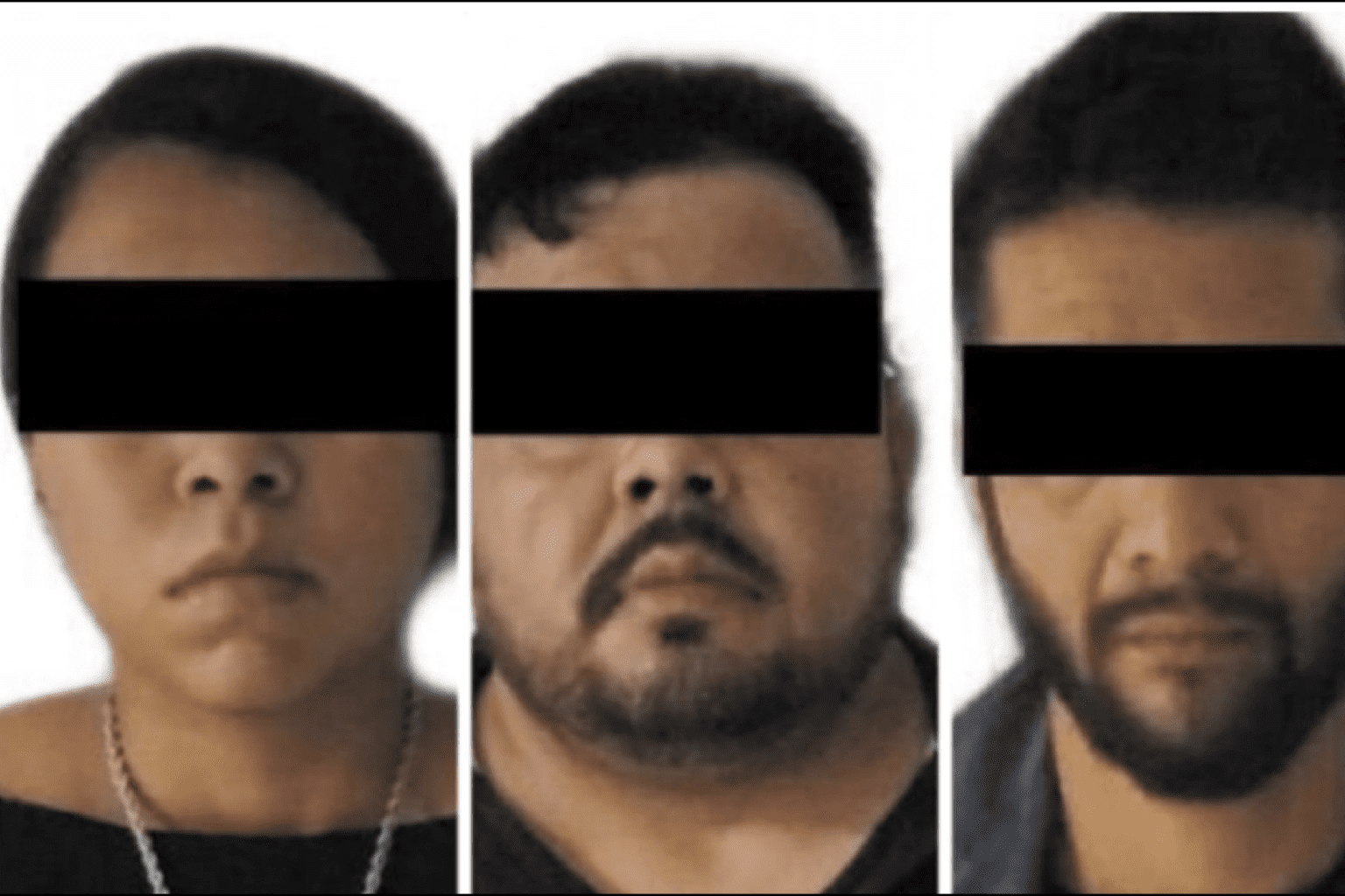 Nuevo proyecto 2021 12 02T183308.379 1