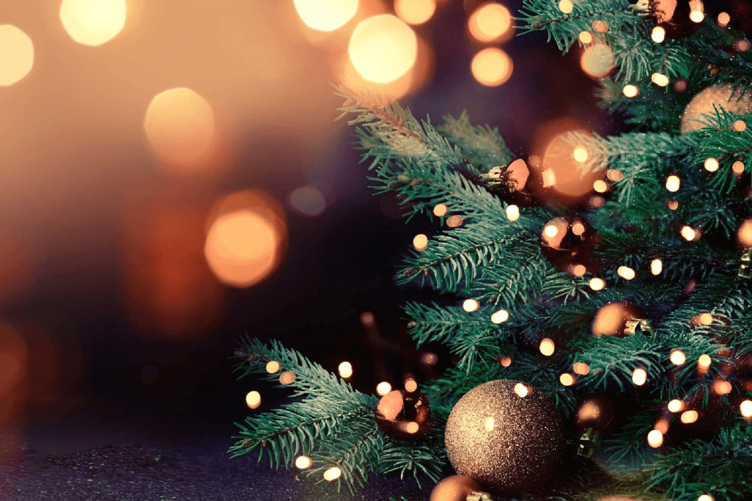 Nuevo proyecto 2021 12 07T153011.241 1