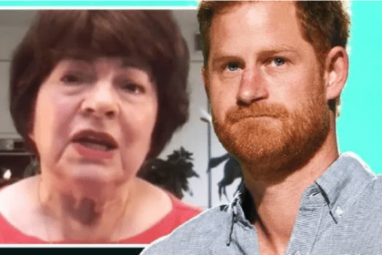 Nuevo proyecto 2021 12 07T170418.416 1