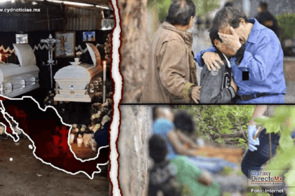 Nuevo proyecto 2021 12 07T172420.856 1