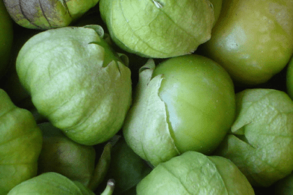 Nuevo proyecto 2021 12 09T170709.164 1