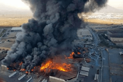 Nuevo proyecto 2021 12 13T155724.280 1