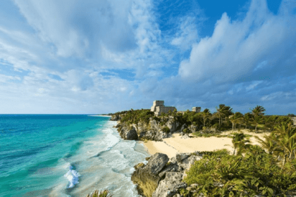 Nuevo proyecto 2021 12 13T161155.828 1