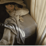 Nuevo proyecto 2021 12 14T181302.434 1