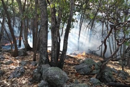 Nuevo proyecto 2022 05 24T083316.148