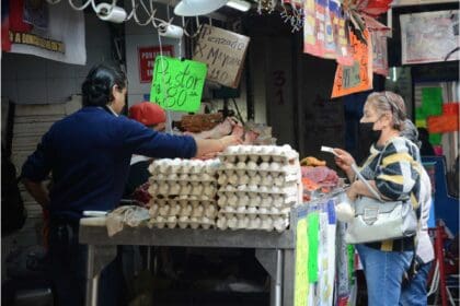 Nuevo proyecto 2022 05 24T093439.194