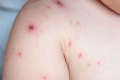 Nuevo proyecto 2022 05 27T135008.737