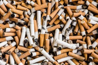 Nuevo proyecto 2022 05 30T143351.718