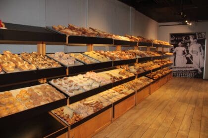 Nuevo proyecto 2022 06 01T214537.367