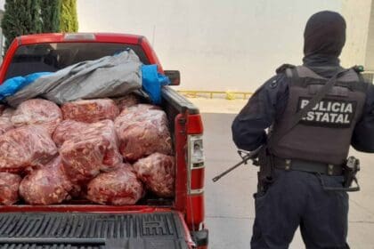 Nuevo proyecto 2022 06 08T135228.543