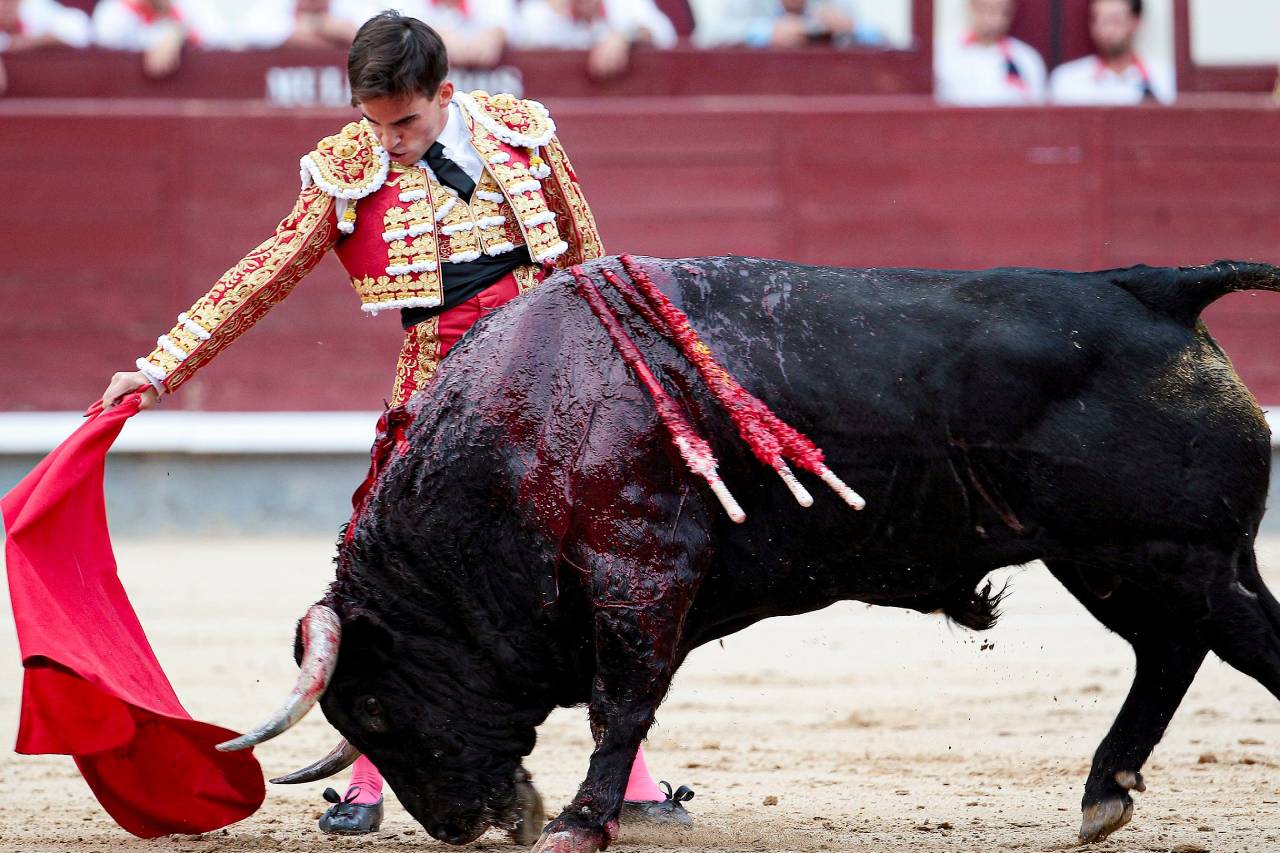 Nuevo proyecto 2022 06 15T175630.061