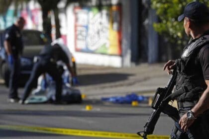 Nuevo proyecto 2022 07 05T094405.307