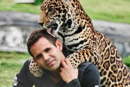 Nuevo proyecto 2022 07 05T153733.615