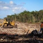 Nuevo proyecto 2022 07 11T091506.572