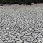 Nuevo proyecto 2022 07 12T124752.478