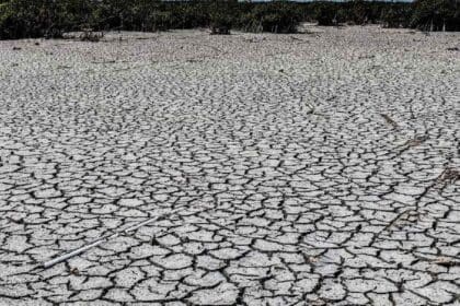 Nuevo proyecto 2022 07 12T124752.478