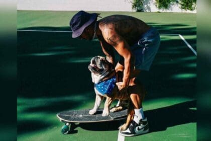 Nuevo proyecto 2022 07 18T125949.405