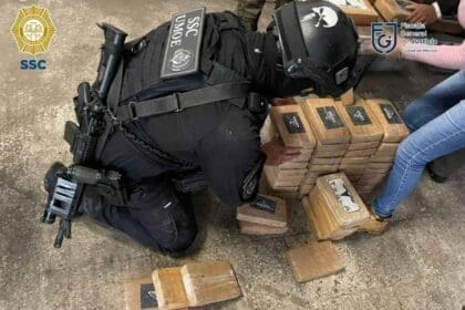 Nuevo proyecto 2022 07 28T093418.362