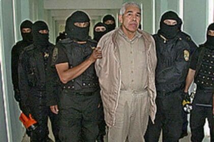 Nuevo proyecto 2022 07 30T114100.498