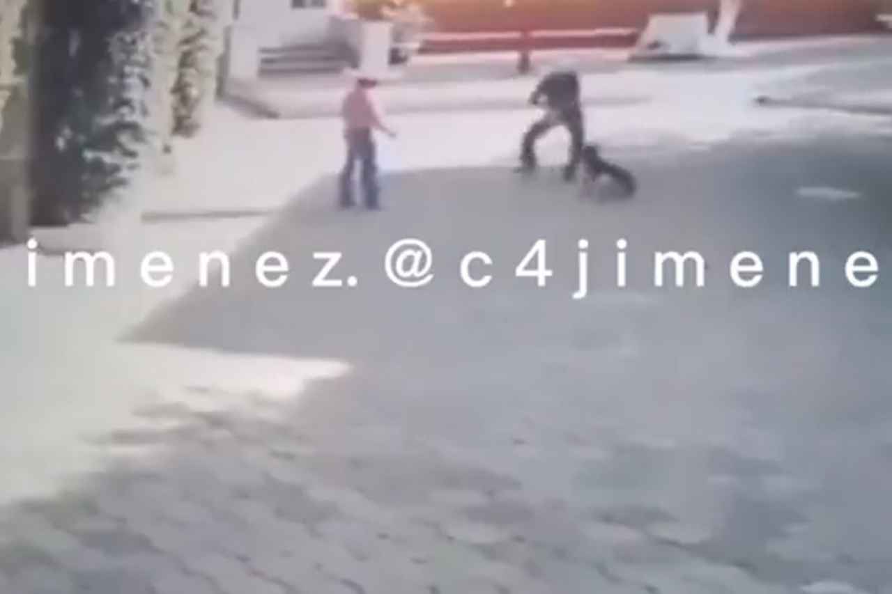 Nuevo proyecto 2022 08 02T105618.881