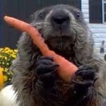 Nuevo proyecto 2022 08 10T163005.608