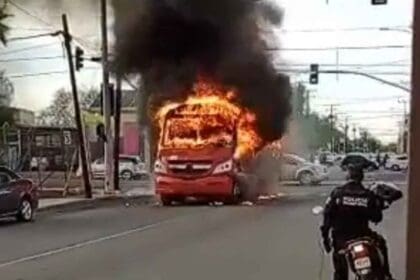 Nuevo proyecto 2022 08 13T100205.780