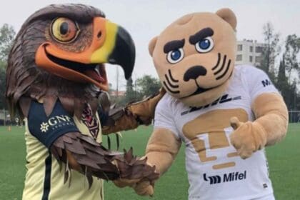 Nuevo proyecto 2022 08 13T124536.140