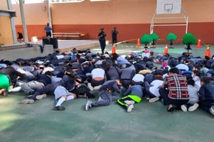 Nuevo proyecto 2022 08 16T110449.051