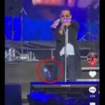 Nuevo proyecto 2022 08 18T121206.983