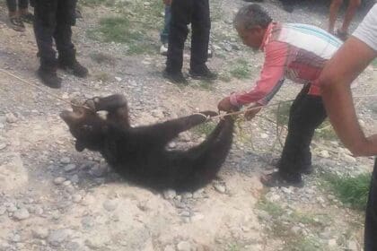 Nuevo proyecto 2022 08 23T113529.003