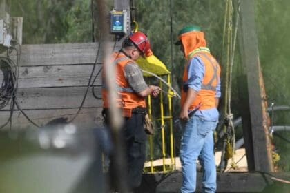 Nuevo proyecto 2022 08 24T093607.509