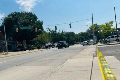 Nuevo proyecto 2022 08 24T131536.364