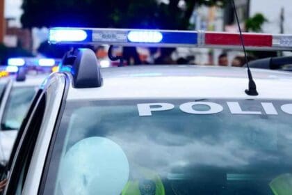 Nuevo proyecto 2022 08 26T104739.261