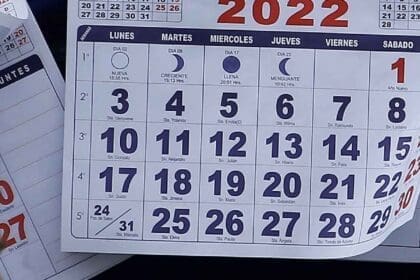 Nuevo proyecto 2022 08 27T092607.072