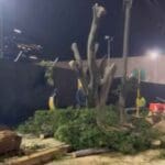 Nuevo proyecto 2022 08 27T123517.583