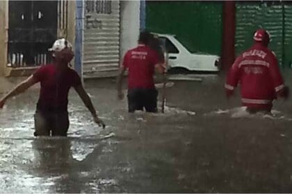 Nuevo proyecto 2022 08 29T131319.160