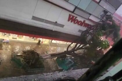 Nuevo proyecto 2022 08 30T123611.446